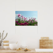 Japanse kosmos Flowers Poster (Keuken)