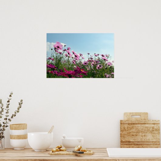 Japanse kosmos Flowers Poster (Keuken)