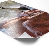 Japanse kraan "Langlevendigheid" Foto Afdruk (Hoek)