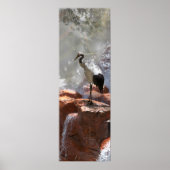 Japanse kraan "Langlevendigheid" Poster (Voorkant)