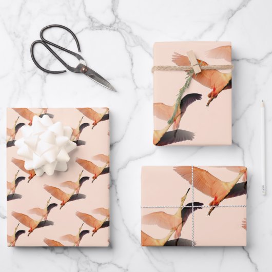 Japanse kranen inpakpapier vel (Voorkant)