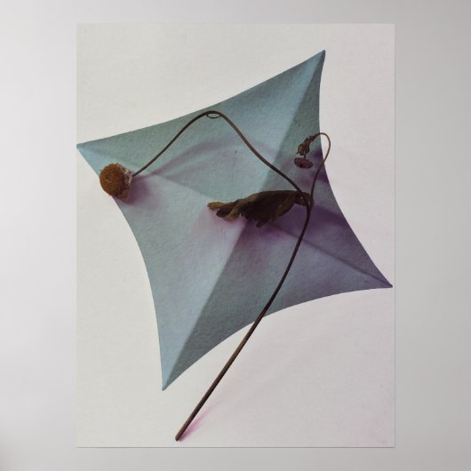 Japanse kunst poster (Voorkant)