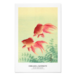 Japanse Kunstprint - Ohara Koson - Goudvis Foto Afdruk