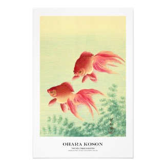 Japanse Kunstprint - Ohara Koson - Goudvis Foto Afdruk