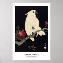 Japanse Kunstprint - Ohara Koson - Kaketoe