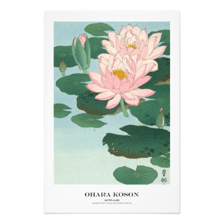 Japanse Kunstprint - Ohara Koson - Waterlelies Foto Afdruk