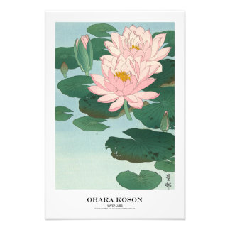 Japanse Kunstprint - Ohara Koson - Waterlelies Foto Afdruk