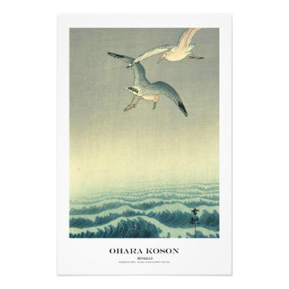 Japanse Kunstprint - Ohara Koson - Zeemeeuw Foto Afdruk