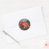 Japanse Kweepeer in het park Ronde Sticker (Envelop)
