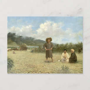 "Japanse laboratoria, Maui" - Briefkaart