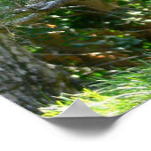 Japanse lantaarn poster (Hoek)