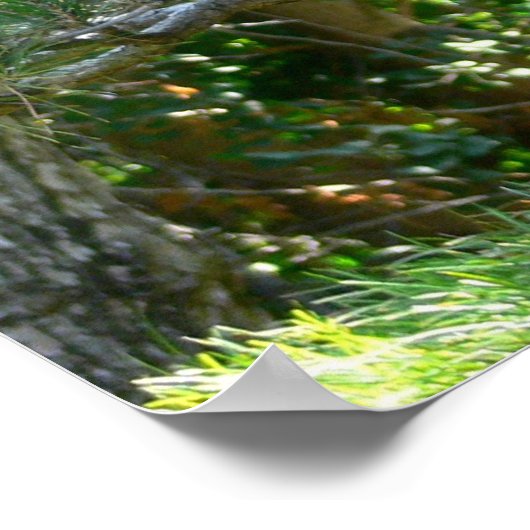 Japanse lantaarn poster (Hoek)