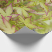 Japanse lef leve-schitterwrap cadeaupapier (Hoek)