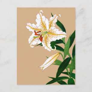 Japanse Liliy. Wit, groen en beige Briefkaart
