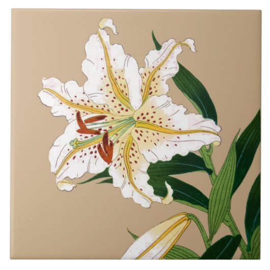  Japanse Liliy. Wit, groen en beige Tegeltje (Voorkant)