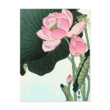  Japanse Lotus Flower