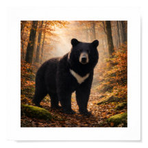 Japanse maanbeer in herfstbos - Kunstprint