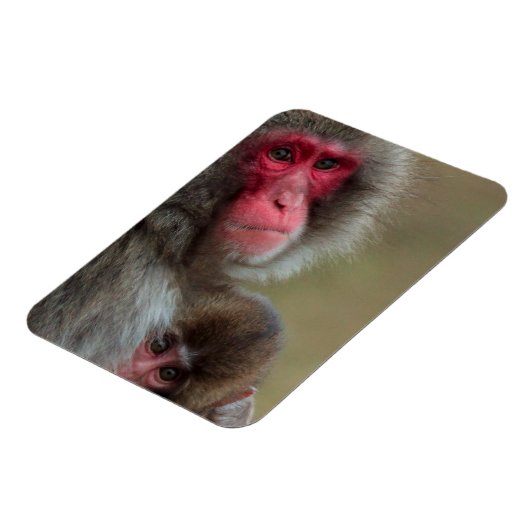 Japanse Macaque Apen Flexibele Magneet (Linkerzijde)