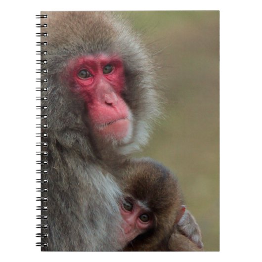 Japanse Macaque-apen laptop Notitieboek (Voorkant)