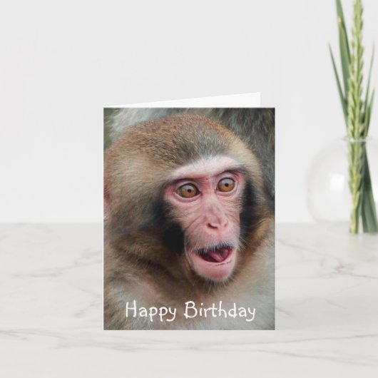 Japanse Macaque Monkey Birthday Card Kaart (Voorkant)