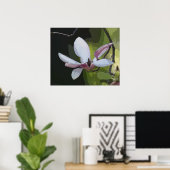 Japanse Magnolia Art Print -24x20 - of kleiner (Thuiskantoor)