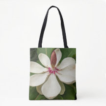 Japanse Magnolia Bloesem Bloemstuk