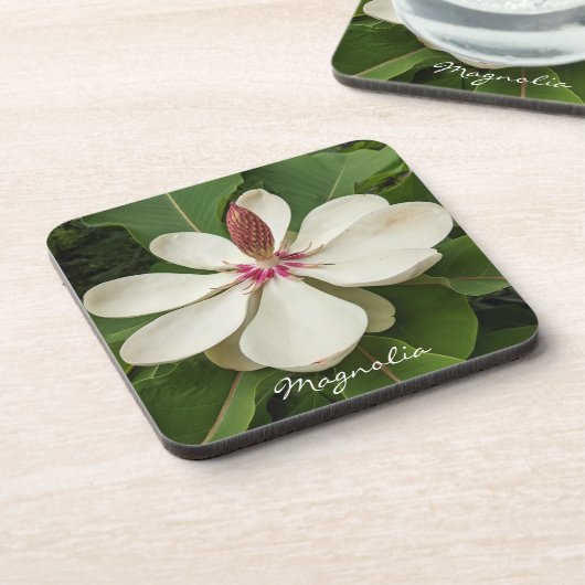 Japanse Magnolia Blossom Floral Bier Onderzetter (Linkerzijde)