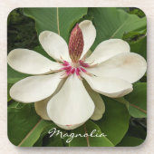 Japanse Magnolia Blossom Floral Bier Onderzetter (Voorkant)