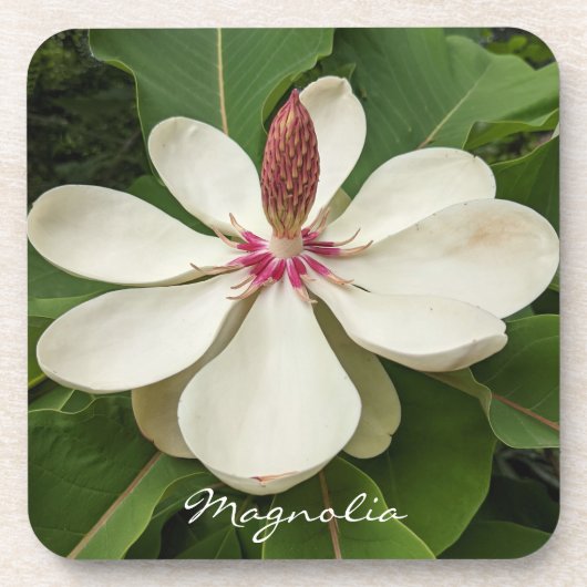 Japanse Magnolia Blossom Floral Bier Onderzetter (Voorkant)