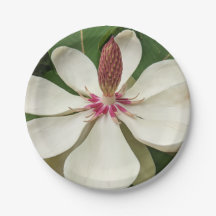 Japanse Magnolia Blossom Floral