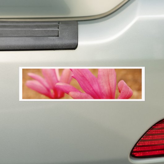 Japanse Magnolia Bumpersticker (Op auto)