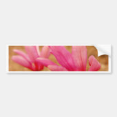 Japanse Magnolia Bumpersticker (Voorkant)