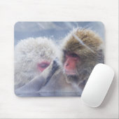 Japanse makaken (Macaca fuscata) Muismat (Met muis)