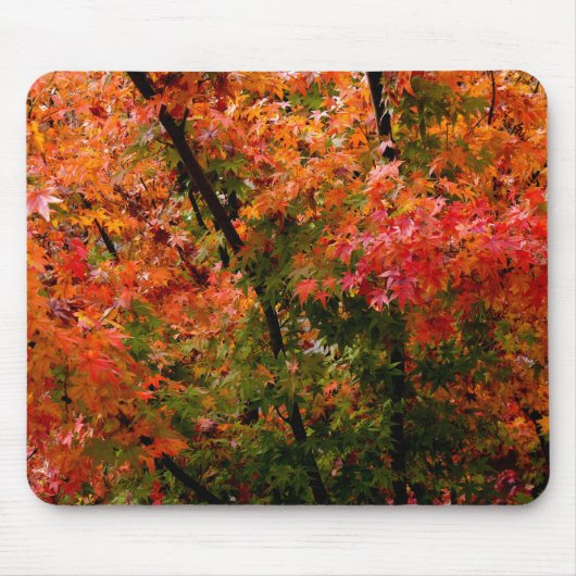 Japanse Mapels in Herfst Muismat (Voorkant)