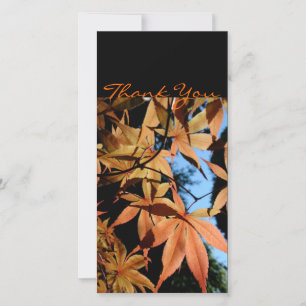 Japanse Maple 2a Dank u wel Fotokaart Bedankkaart