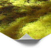 Japanse Maple Acer Palmatum Portland Garden Poster (Hoek)