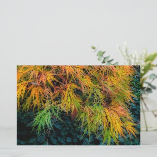 Japanse Maple Autumn Impressions Briefpapier (Staand voorkant)