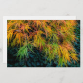 Japanse Maple Autumn Impressions Briefpapier (Voorkant / Achterkant)