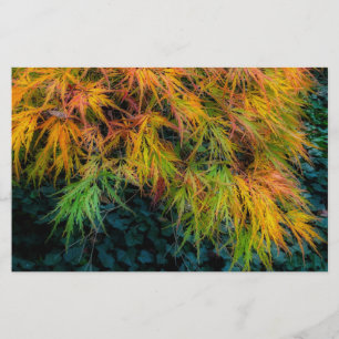 Japanse Maple Autumn Impressions Briefpapier