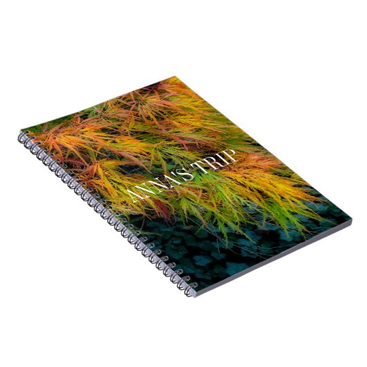 Japanse Maple Autumn Impressions Notitieboek (Rechterzijde)