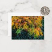 Japanse Maple Autumn Impressions Notitiekaartje (Voorkant / Achterkant in situ)