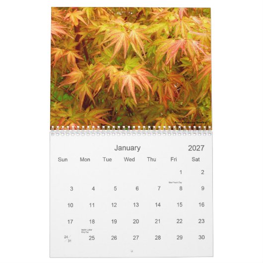 Japanse Maple Calendar Kalender (Jan 2027)