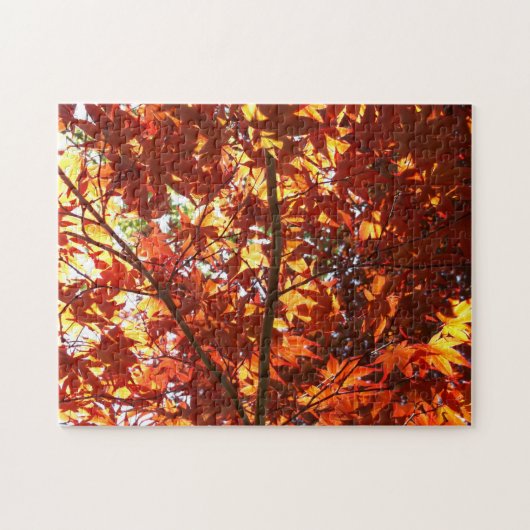 Japanse Maple in de zon Legpuzzel (Horizontaal)