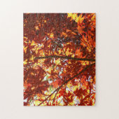 Japanse Maple in de zon Legpuzzel (Verticaal)