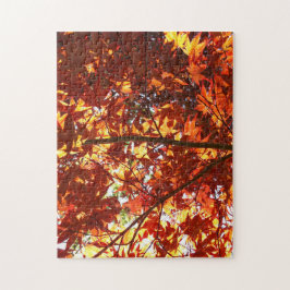 Japanse Maple in de zon Legpuzzel