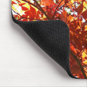 Japanse Maple in de zon Muismat (Hoek)