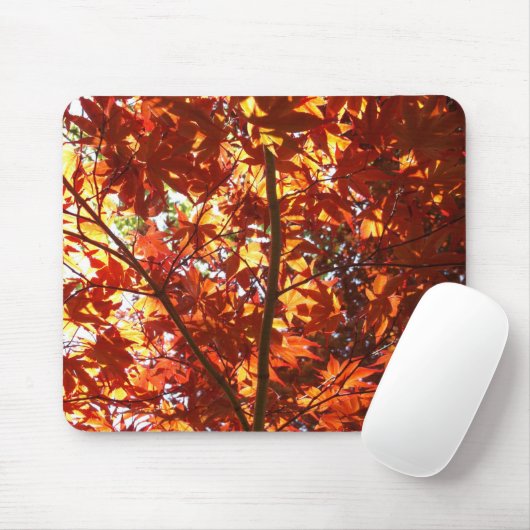 Japanse Maple in de zon Muismat (Met muis)