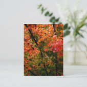 Japanse Maple in Herfst Briefkaart (Staand voorkant)