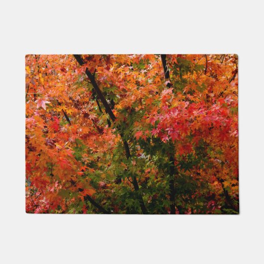 Japanse Maple in Herfst Deurmat (Voorkant)