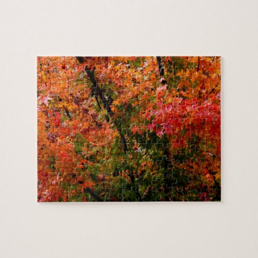 Japanse Maple in Herfst Legpuzzel (Horizontaal)
